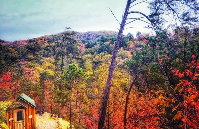 Cozy, absolutely secluded Mountain Cabin,Pet Friendly,spectacular Views,hiking