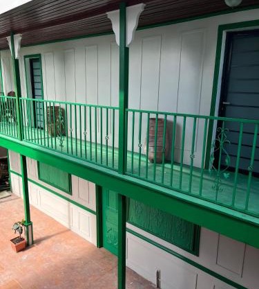 Cozy and quirky Wolf Apartment