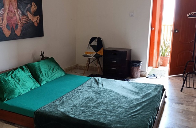 Cozy and Zen home stay at a prime location. Pet-Friendly