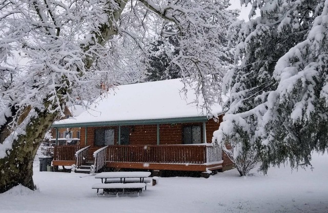 Cozy Cabin in a River Community