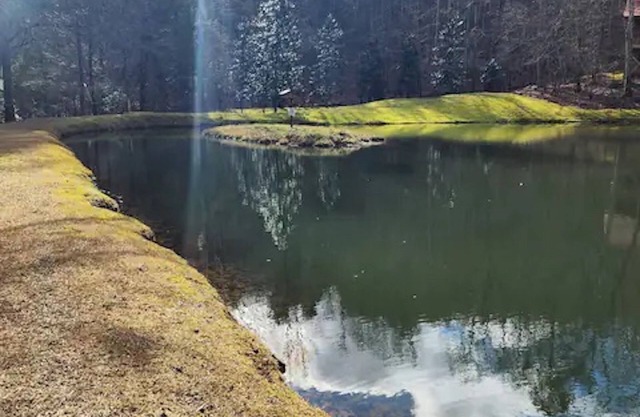 Cozy Cabin: River View with Hot Tub