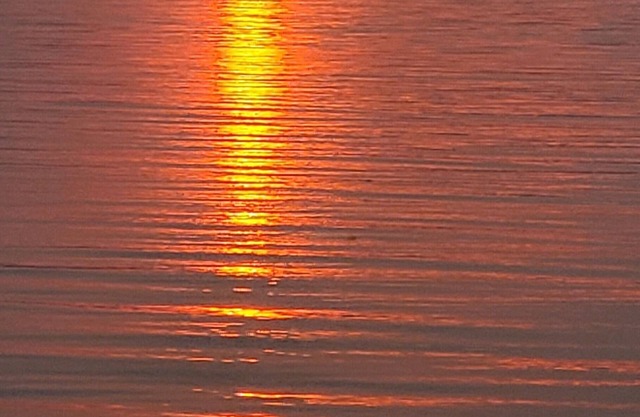 Cozy cabin with AC & WiFi in charming Camano Island. Walk to beach.