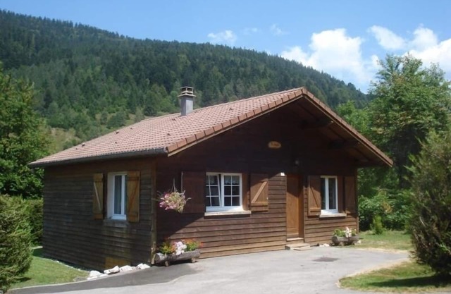 Cozy Chalet Near Ski Resort with Fireplace, WiFi, & Pet-Friendly