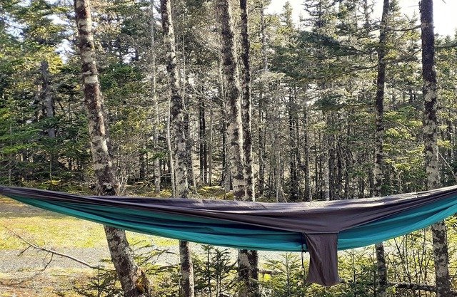 Cozy cottage with hot tub, 1-acre, lakefront, less than 1 hour from St. John's.