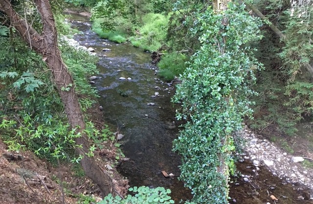 Cozy Creekside Cabin in Santa Cruz Mountains