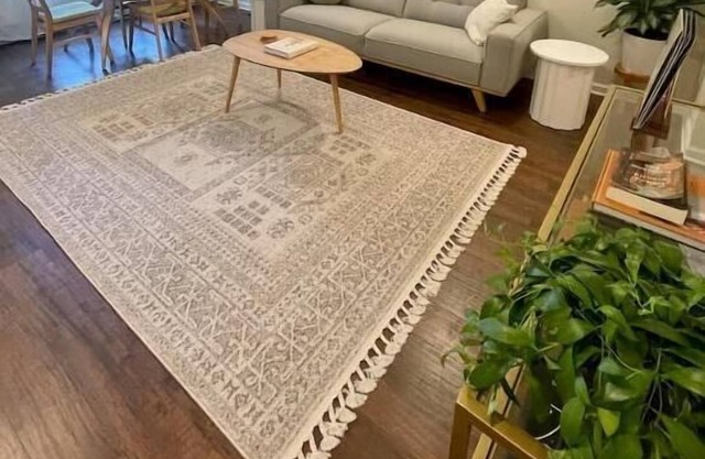 Cozy Greenwood Flat 1 BDR Apartment in Albany