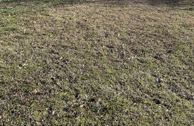 Cozy home with deck. Just 2 miles from Joplin Airport