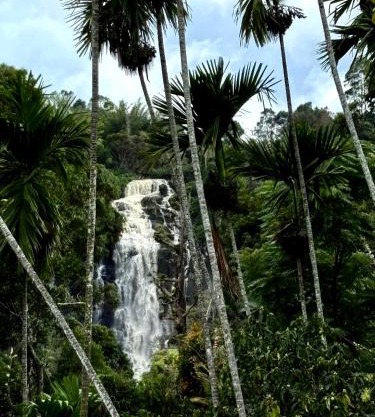 Cozy Homestay Waterfall Road Ella