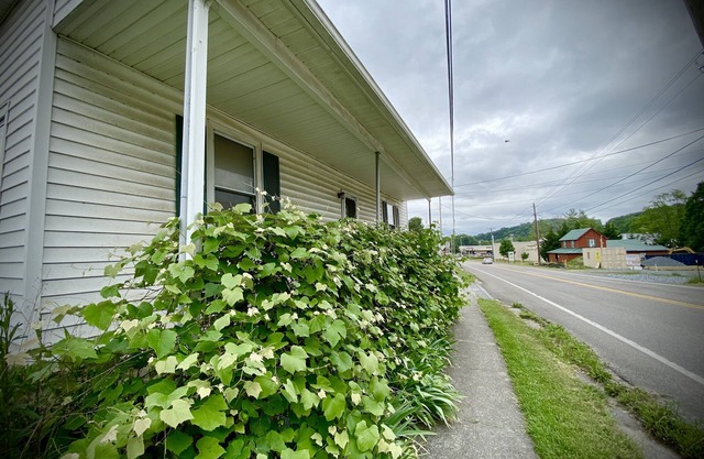 Cozy little cottage right in the friendly town of Damascus.