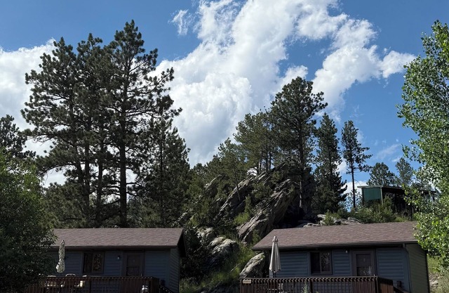 Cozy little pet- friendly cabins in the heart of the Black Hills!