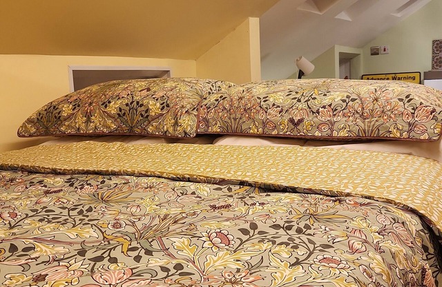 Cozy Private Suite in Putney, London