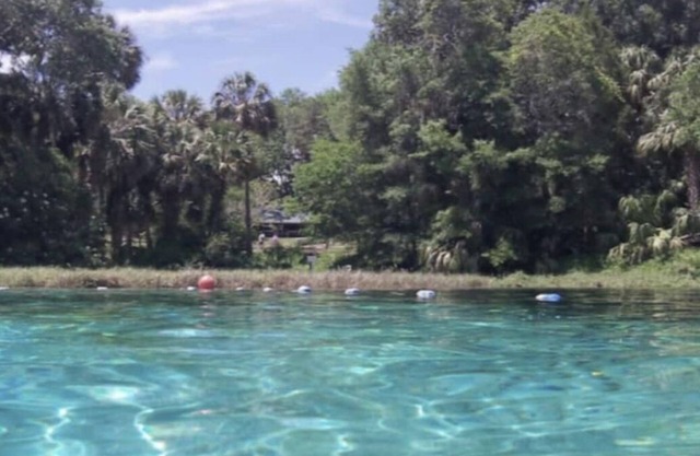 Cozy River Condo with access to Rainbow River