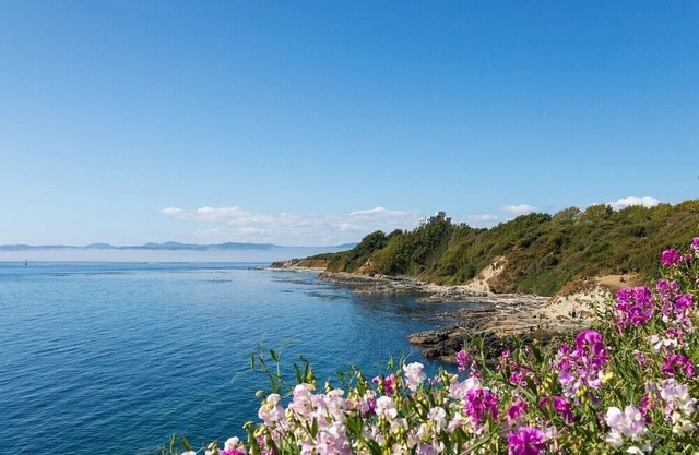 Cozy studio near downtown & beaches!