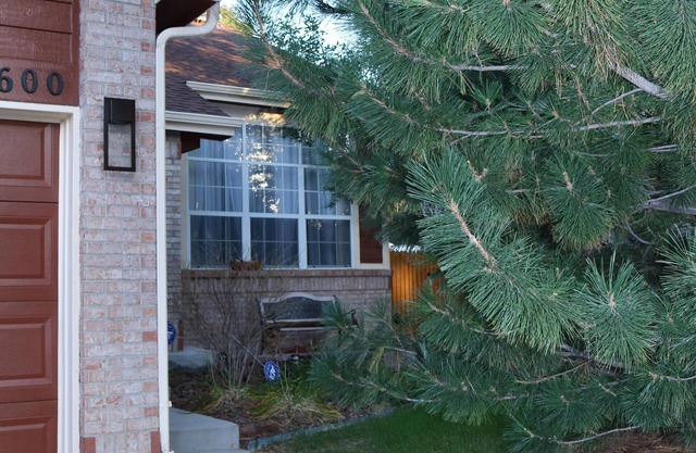 Cozy & Stylish Walkout Basement Apartment
