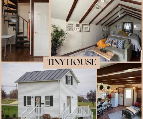 Cozy Tinyhouse Jmudowntown Fire Pit Yard