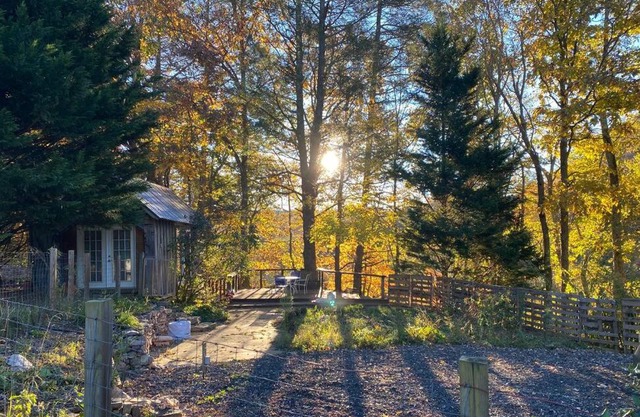Creek View Cabin at Skipwillow Farm - Floyd, VA