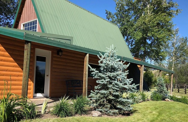 Creekside Cabin near Salmon