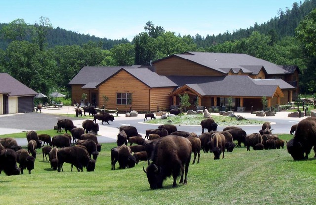 Creekside Lodge at Custer State Park Resort