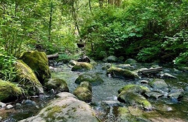 Creekside Zen 3BR Peaceful, Furnished Monthly Retreat