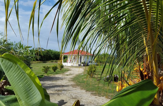 Creole bungalow between sea and countryside In the heart of nature, quiet and ventilated.