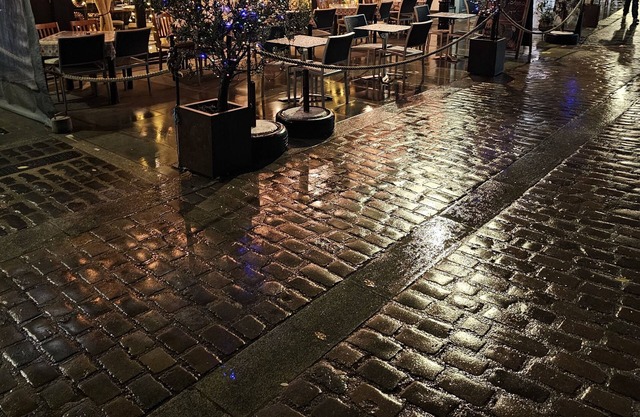 Cute garden studio flat with winter room.