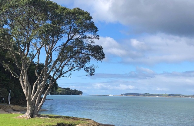Cute kiwi bach and separate modern cottage with sea views