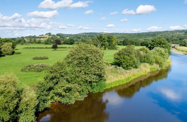 Cwch Gwenyn in Llanfynydd
