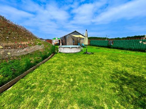 Dangjin Dogpelis Glamping