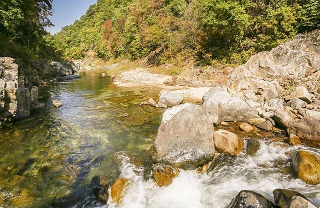 Danyang Terravill Pension