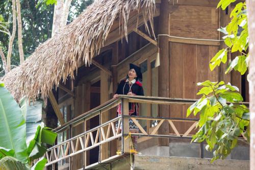 Dao House