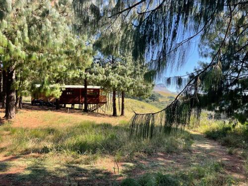 Dargle Forest Lodge