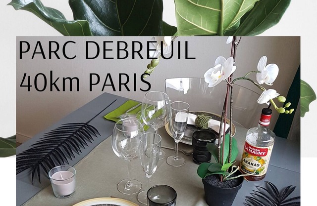 DEBREUIL park residence