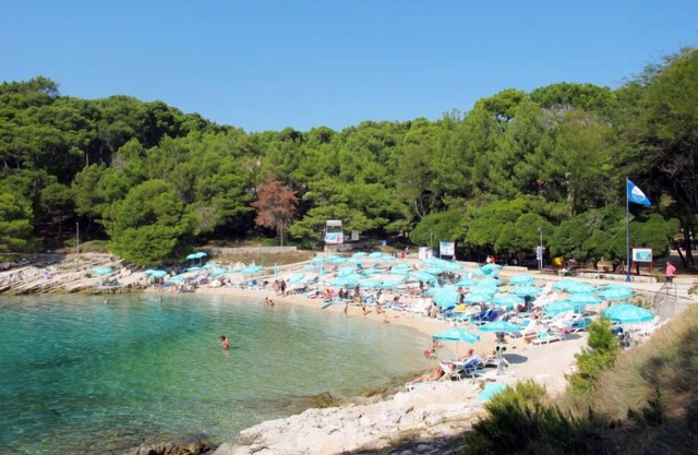 Delfar (LSJ100) by Interhome