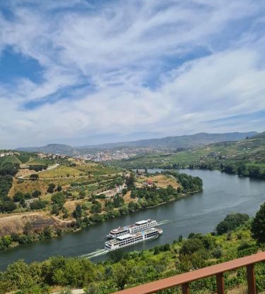 Delfim Douro Hotel