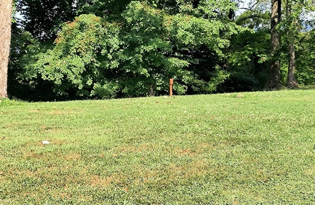 Delightful campground in Andrews on the river.