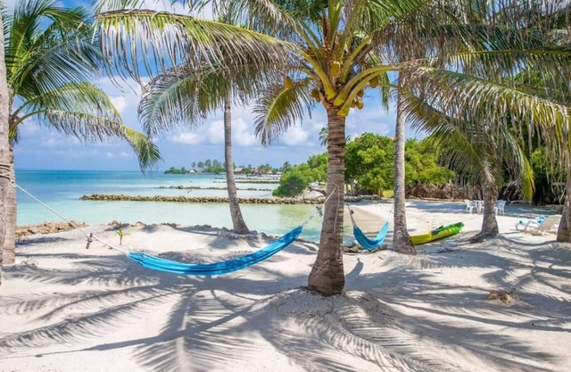 Deluxe Room. SalSiPuedes Cabin (Only Adults) Private Beach.