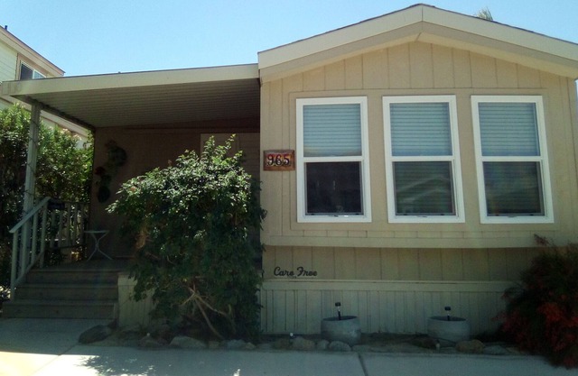 Desert Oasis Retreat