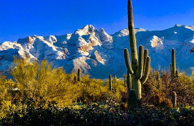 Desert Retreat at Tucson's Catalina Foothills