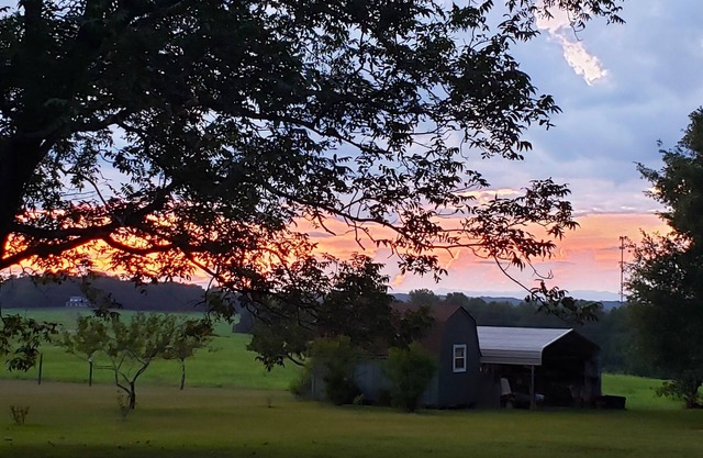 Desirable area, Close to I85, Clemson, Lake Hartwell, Boats Welcome