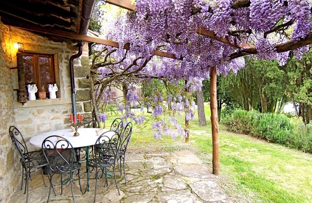 Detached cottage with swimming pool