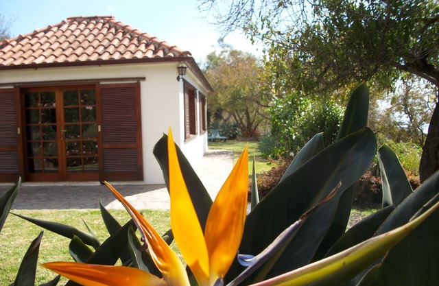 Detached house with large garden and sea views, Los Llanos within walking distance