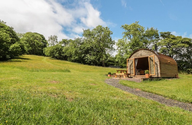 DINGLE DEN, pet friendly, with open fire in Craswall