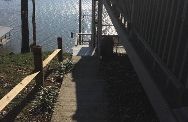 Dock on lake and our 750 sq ft cottage home at Kentucky Lake