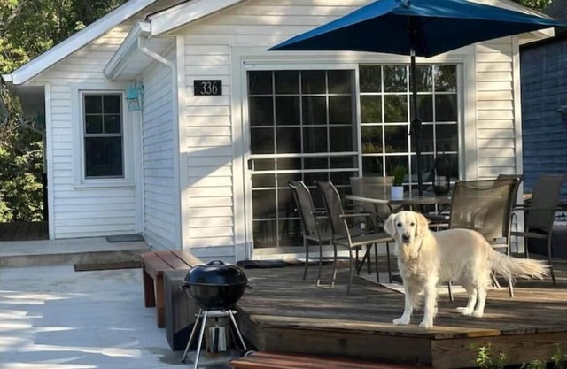 Dog Friendly Beach Cottage within a mile of town and 7 Lake Michigan beaches