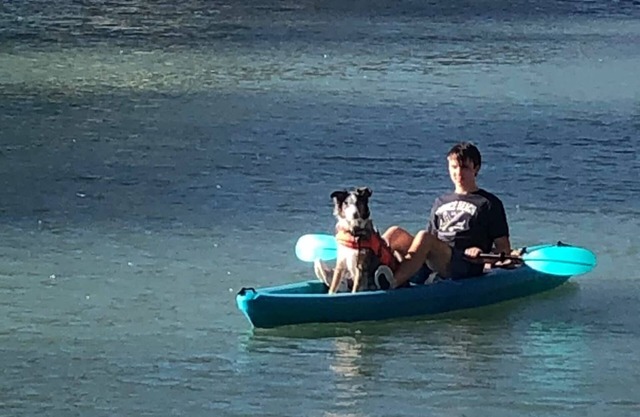 Dog Friendly Charming 4-bedroom house with AC and WiFi in superb Seguin