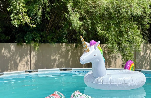 Dog Lover Pool Home Near WEC