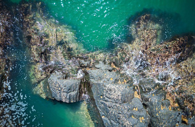 Dolfor - Four Bedroom House, Sleeps 8