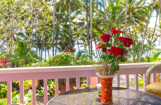 Dolphin Cottage w/AC @ Kehena Beach, Hawaii