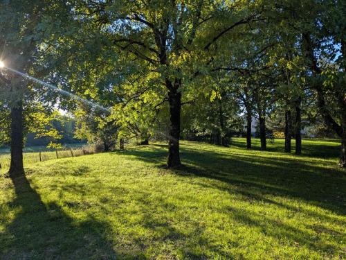 Domaine De La Sablière