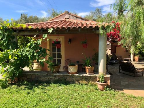 Domaine Le Clos des Oliviers